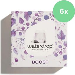 Waterdrop Microdrink BOOST - 6 boîtes