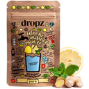Dropz Microdrink Pure Zitrone Ingwer Minze
