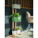 Harry Herbs Wooden Plant Stand with Holders - 1 Pc
