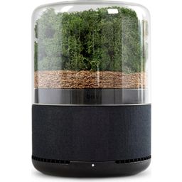 BRIIV Natural Air Purifier with Triple Filter