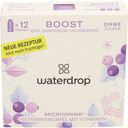 Waterdrop Microdrink BOOST