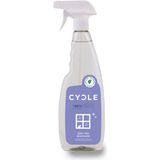 CYCLE Detergente Vetri